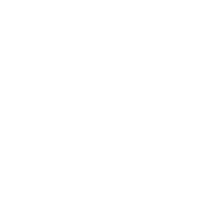 rey de los penaltis sanse futsal